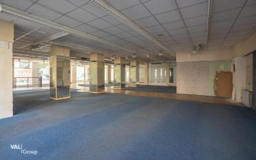 Gemischt genutzte Immobilie - image - 5