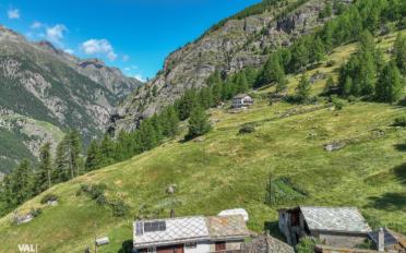 Apartment 3.5 rooms - image - 13