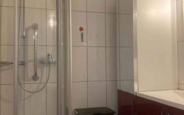 Apartment 4.5 rooms - image - 5