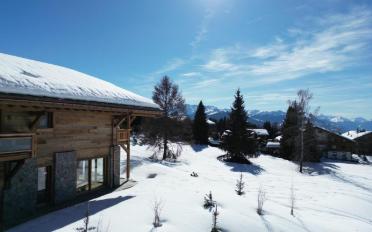 Chalet 7 Zimmer - image - 3