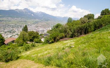 Terrain à bâtir - image - 8