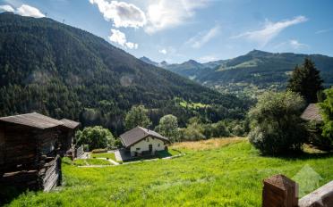 Terrain à bâtir - image - 5