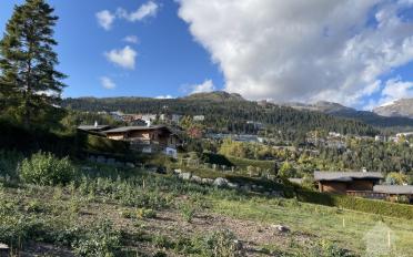 Chalet 4.5 Zimmer - image - 3