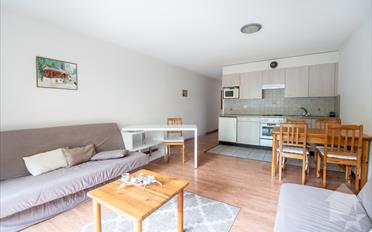 Wohnung 2.5 Zimmer - image - 2