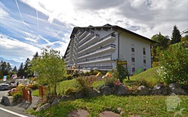 Wohnung 2.5 Zimmer - image - 12