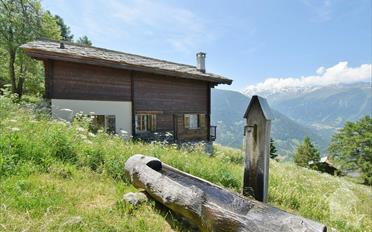 Chalet 3.5 Zimmer - image - 1