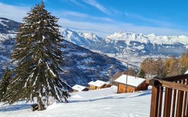 Chalet 3.5 Zimmer - image - 1