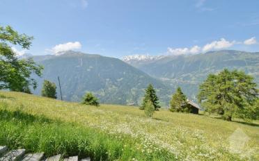 Chalet 3.5 Zimmer - image - 10