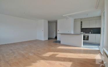 Apartment 4.5 rooms - image - 5