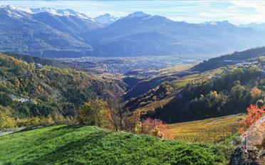 Terrain à bâtir - image - 7