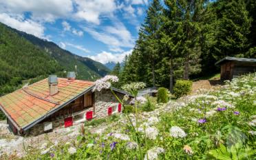 Chalet 3.5 rooms - image - 2