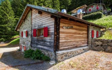 Chalet 3.5 rooms - image - 1
