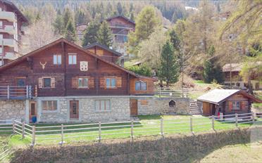 Chalet 7.5 pièces - image - 1