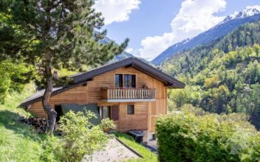 Villa 7.5 Zimmer - image - 2