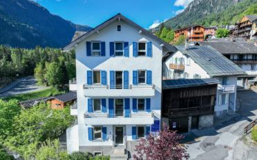 Einfamilienhaus 12.5 Zimmer - image - 1