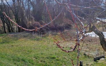 Bauland - image - 1