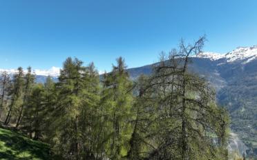 Terrain à bâtir - image - 5
