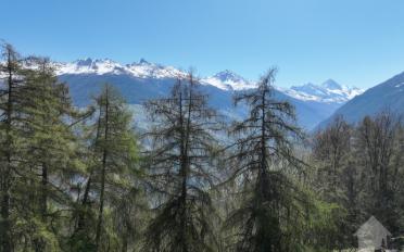 Terrain à bâtir - image - 8