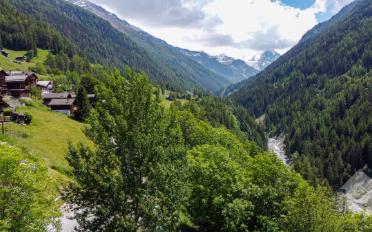 Terrain à bâtir - image - 5
