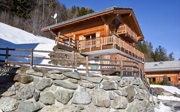 Chalet 6.5 Zimmer - image - 2