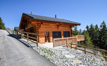 Chalet 7 pièces - image - 3