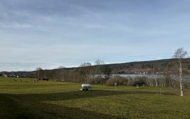 Appartement 3.5 pièces - image - 8