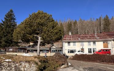 Residential building - image - 7