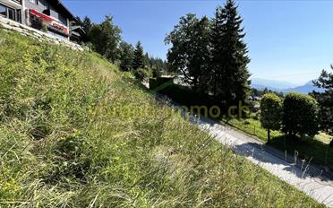 Terrain à bâtir - image - 5