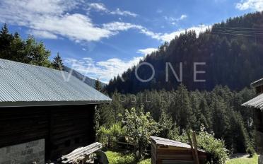 Chalet 3 rooms - image - 12