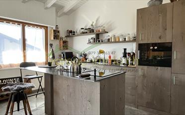 Doppeleinfamilienhaus 3.5 Zimmer - image - 5