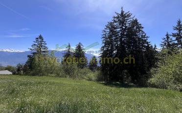 Bauland - image - 2