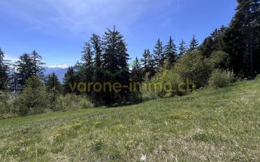 Bauland - image - 4