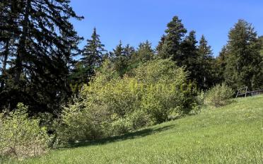 Bauland - image - 5