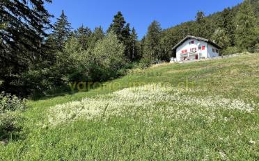 Bauland - image - 6