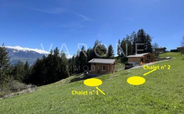Chalet 4.5 pièces - image - 3
