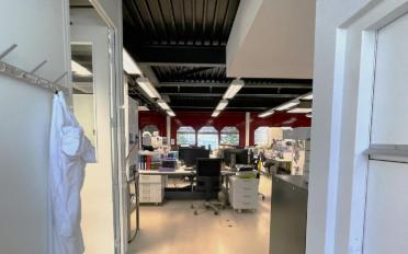 Werkstatt - image - 4