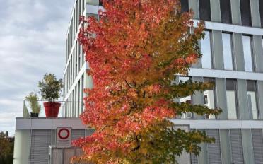 Office - image - 9