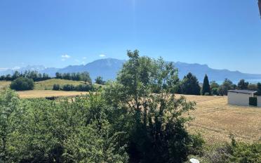 Chalet 4 Zimmer - image - 6