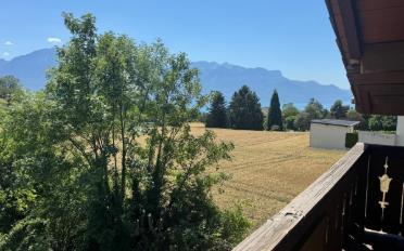 Chalet 4 Zimmer - image - 5