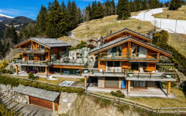 Chalet 13 rooms - image - 3