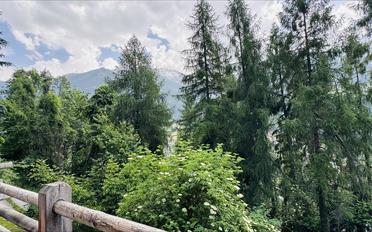 Chalet 5.5 rooms - image - 15