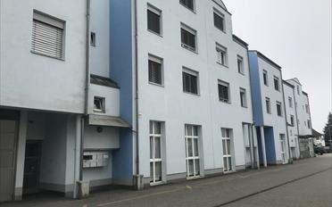 Ladenfläche - image - 2