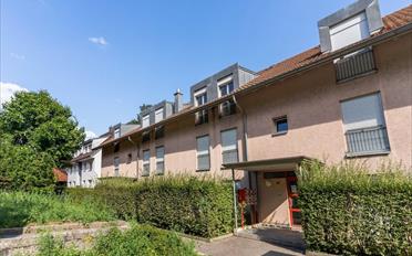 Wohnung 3.5 Zimmer - image - 1