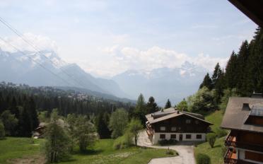 Wohnung 4 Zimmer - image - 12