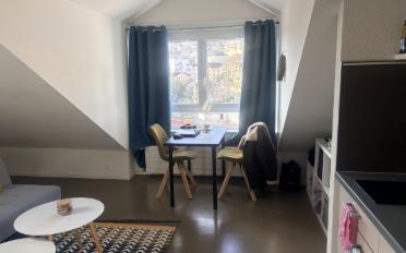 Studio 1 pièce - image - 4