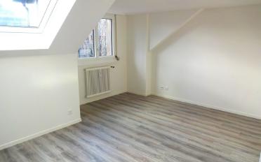 Wohnung 2.5 Zimmer - image - 4