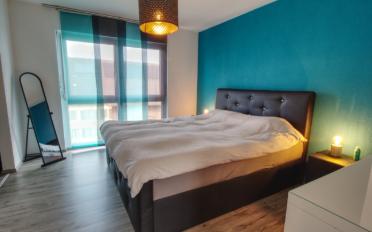 Villa 5.5 Zimmer - image - 5