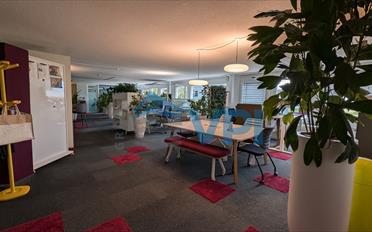 Office - image - 4