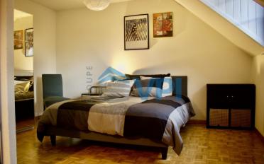 Appartement meublé 2 pièces - image - 2