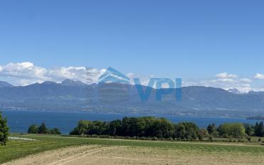 Gewerbe - image - 7